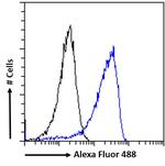 RCAN1 Antibody in Flow Cytometry (Flow)