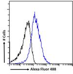 SDF4 Antibody in Flow Cytometry (Flow)