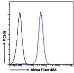 CD56 (NCAM) Antibody in Flow Cytometry (Flow)