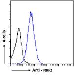 Nrf2 Antibody in Flow Cytometry (Flow)