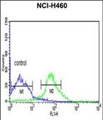 FKBP9 Antibody in Flow Cytometry (Flow)
