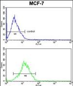 RBM3 Antibody in Flow Cytometry (Flow)