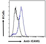 ICAM-1 (CD54) Antibody in Flow Cytometry (Flow)