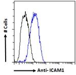 ICAM-1 (CD54) Antibody in Flow Cytometry (Flow)