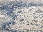 CD4 Antibody in Immunohistochemistry (Paraffin) (IHC (P))