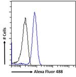 CD68 Antibody in Flow Cytometry (Flow)