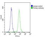 CD31 Antibody in Flow Cytometry (Flow)