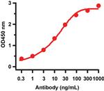 SARS-CoV-2 NSP13 Antibody in ELISA (ELISA)