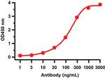 SARS-CoV-2 NSP13 Antibody in ELISA (ELISA)