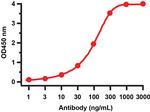 SARS-CoV-2 NSP10 Antibody in ELISA (ELISA)