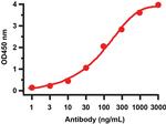SARS-CoV-2 NSP2 Antibody in ELISA (ELISA)