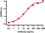 SARS-CoV-2 NSP6 Antibody in ELISA (ELISA)
