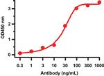 SARS-CoV-2 ORF9c Antibody in ELISA (ELISA)
