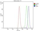 FAAH Antibody in Flow Cytometry (Flow)