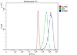 MUS81 Antibody in Flow Cytometry (Flow)