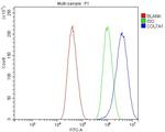 COL7A1 Antibody in Flow Cytometry (Flow)