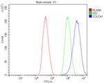 COL7A1 Antibody in Flow Cytometry (Flow)