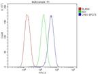 CRB1 Antibody in Flow Cytometry (Flow)