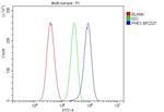 PHEX Antibody in Flow Cytometry (Flow)
