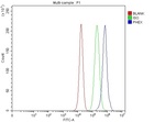 PHEX Antibody in Flow Cytometry (Flow)