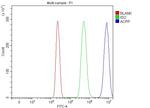 Prostate Specific Acid Phosphatase Antibody in Flow Cytometry (Flow)