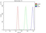 Prostate Specific Acid Phosphatase Antibody in Flow Cytometry (Flow)