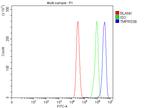 TMPRSS6 Antibody in Flow Cytometry (Flow)