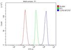 CLPB Antibody in Flow Cytometry (Flow)