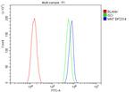 MNT Antibody in Flow Cytometry (Flow)