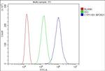 CYP11B1/CYP11B2 Antibody in Flow Cytometry (Flow)