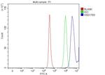 HSD17B3 Antibody in Flow Cytometry (Flow)