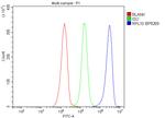 RPL10 Antibody in Flow Cytometry (Flow)