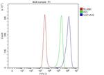 UGT1A10 Antibody in Flow Cytometry (Flow)