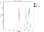 UGT1A10 Antibody in Flow Cytometry (Flow)