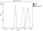 Kir6.1 (KCNJ8) Antibody in Flow Cytometry (Flow)