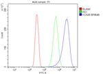 Kir6.1 (KCNJ8) Antibody in Flow Cytometry (Flow)