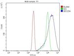 SEC23A Antibody in Flow Cytometry (Flow)