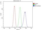 KIF15 Antibody in Flow Cytometry (Flow)