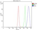 PLP2 Antibody in Flow Cytometry (Flow)
