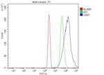 NOLA1 Antibody in Flow Cytometry (Flow)