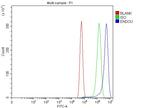 PP11 Antibody in Flow Cytometry (Flow)