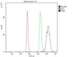CINP Antibody in Flow Cytometry (Flow)