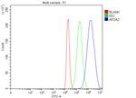 AP2A2 Antibody in Flow Cytometry (Flow)