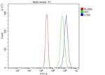 Ly-6E Antibody in Flow Cytometry (Flow)