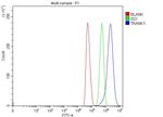 TRANK1 Antibody in Flow Cytometry (Flow)