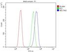 Nectin 3 Antibody in Flow Cytometry (Flow)