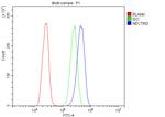 Nectin 3 Antibody in Flow Cytometry (Flow)