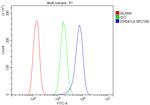 EPB41L5 Antibody in Flow Cytometry (Flow)