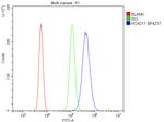HOXD11 Antibody in Flow Cytometry (Flow)