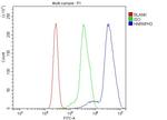 hnRNP H3 Antibody in Flow Cytometry (Flow)